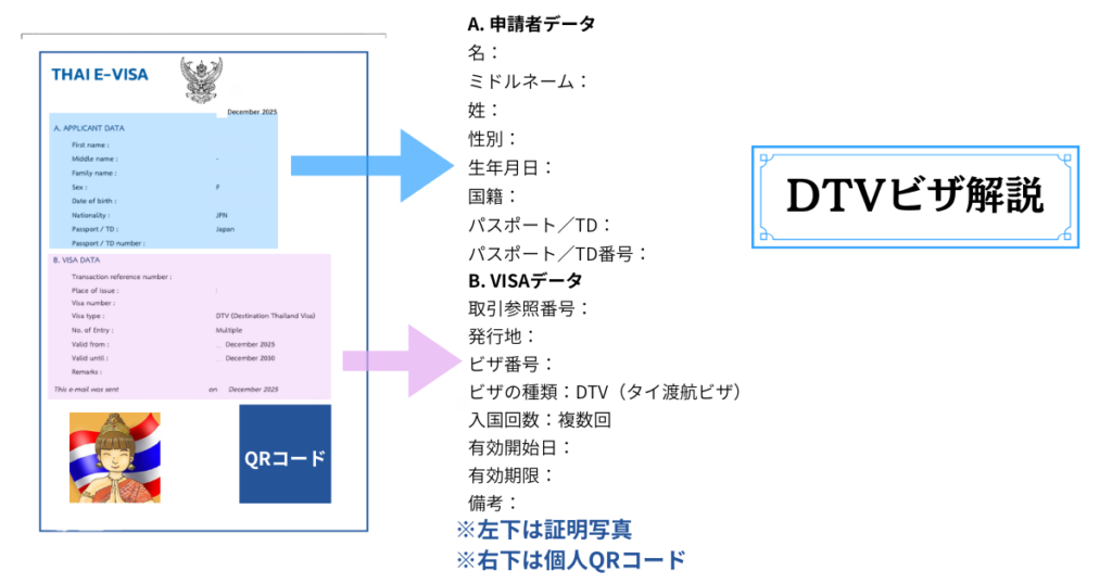 DTVビザの日本語解説です。
