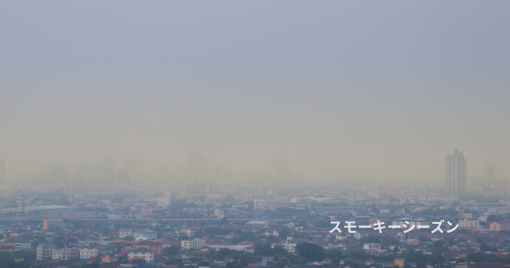 スモーキーシーズンのイメージ写真