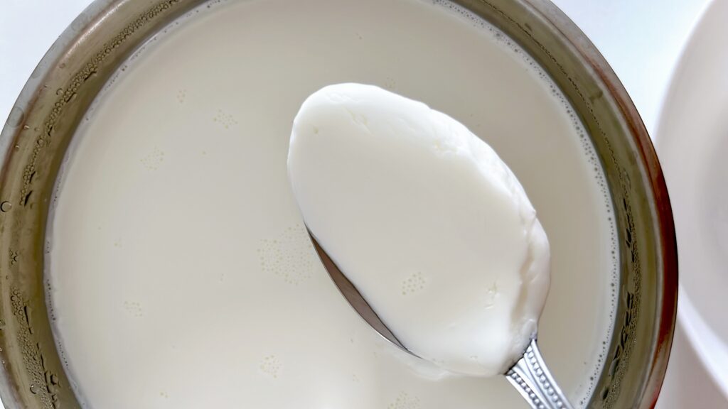 自家製ヨーグルト、スプーンですくった様子