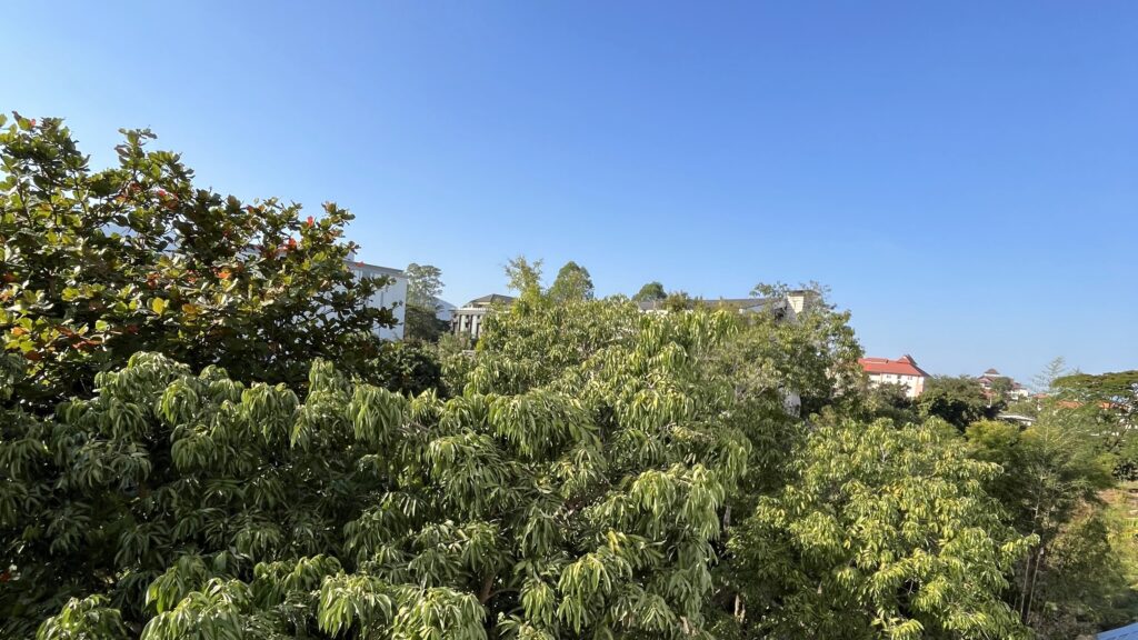 晴れた日のチェンマイ、青空と緑が見える