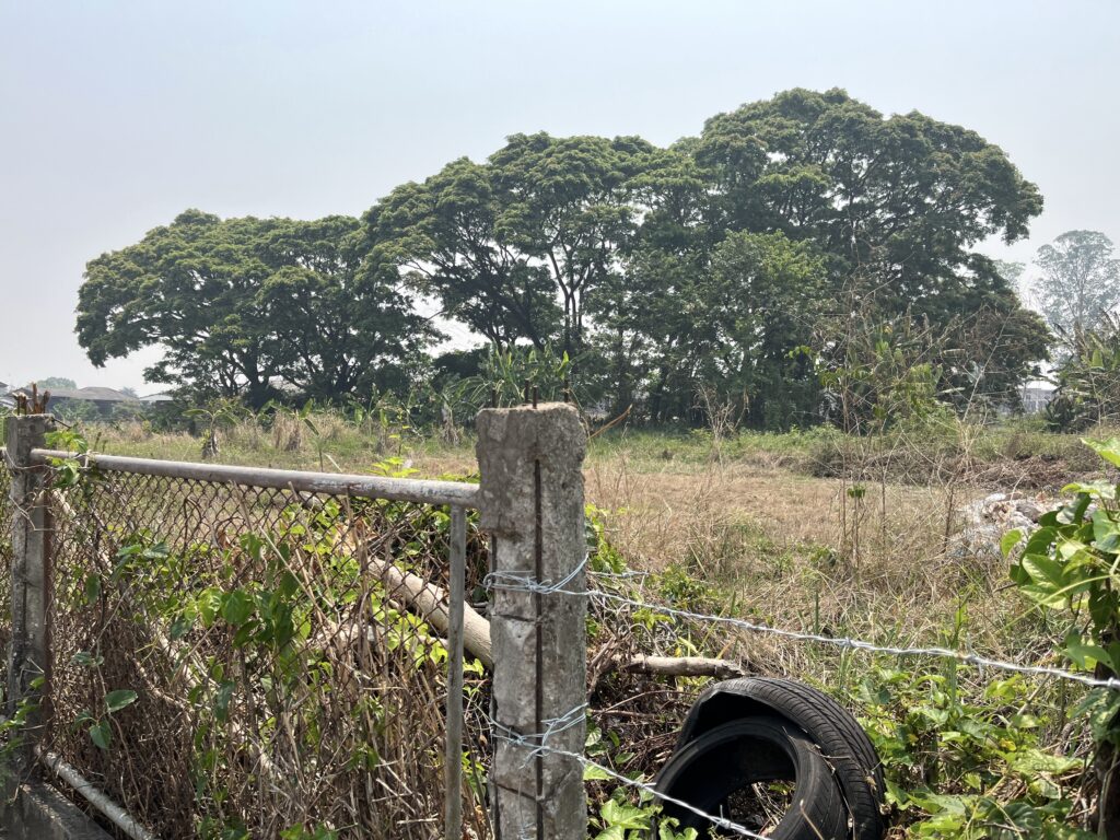 スモーキーシーズンの街並み、空き地の木々が霞む