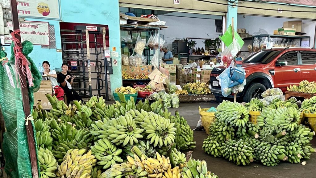 ムアンマイ市場のバナナ店、たくさんのバナナが並ぶ