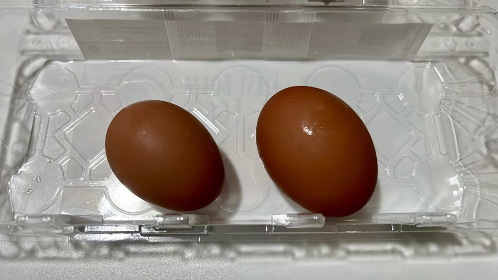 大きさが違う、卵2個が並ぶ