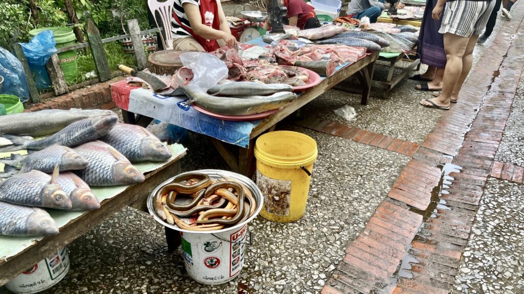 Luang Prabang morning marketに並ぶ鮮魚