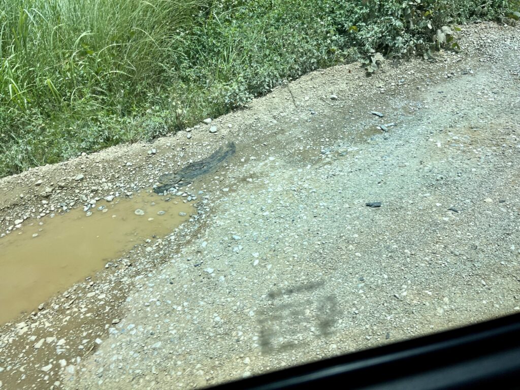 砂利道の整備されていないラオスの車道