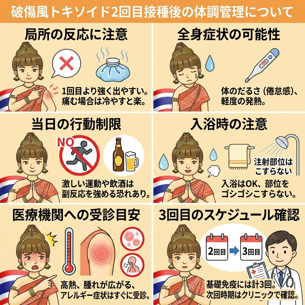 破傷風トキソイド2回目接種後の体調管理についての説明図
